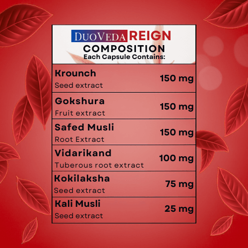 ZENITH + REIGN Bundle