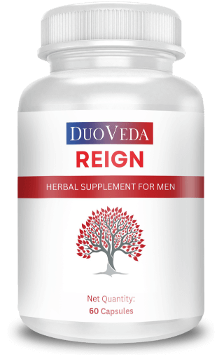 ZENITH + REIGN Bundle